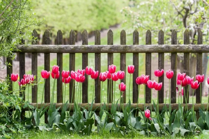Fence company in Huntsville AL
