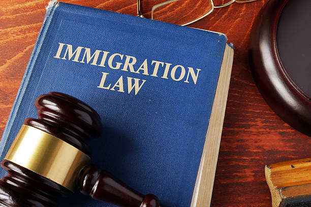 Immigration Habeas Corpus Attorney